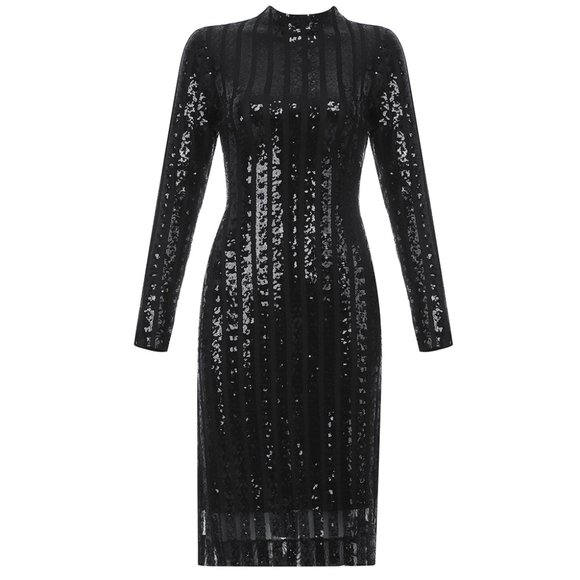Women Winter Sexy Long Sleeve Turtleneck Mesh